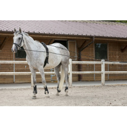 Rendas longas Riding World couro / corda Rendas longas Riding World couro / corda