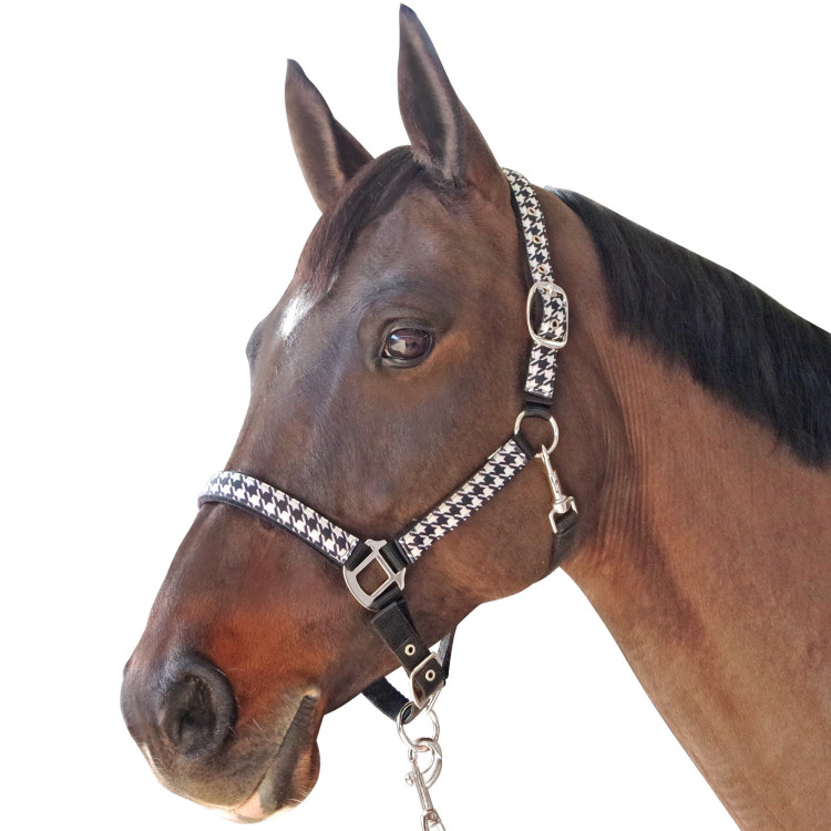 Conjunto cabresto + guia Pied de poule Canter Conjunto cabresto + guia Pied de poule Canter