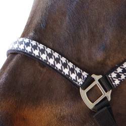 Conjunto cabresto + guia Pied de poule Canter Conjunto cabresto + guia Pied de poule Canter