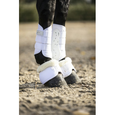 Guétras fechadas Lami-Cell V22 Brushing boots Guétras fechadas Lami-Cell V22 Brushing boots
