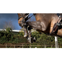 Gamaschen Exo-Flex® LeMieux Castanho