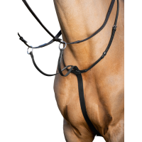 Martingale com anéis LeMieux Arika Preto / prata Martingale com anéis LeMieux Arika Preto / prata