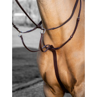 Martingale com anéis LeMieux Arika Havana / prata