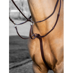 Martingale com anéis LeMieux Arika