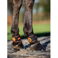 Protetor de boleto Magno LeMieux Preto