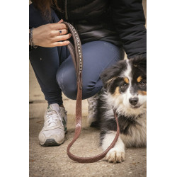 Deixa cão Pénélope Rubber Deixa cão Pénélope Rubber