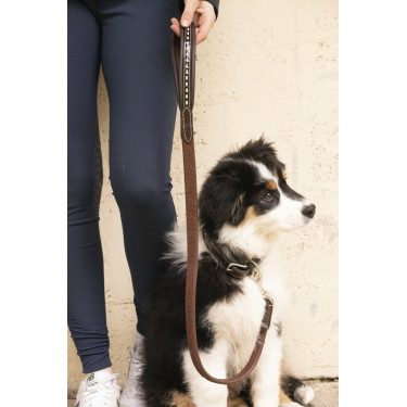 Deixa cão Pénélope Rubber Deixa cão Pénélope Rubber