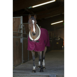 Camisa secante Equithème Teddy Bordéus / cru Bord&amp;ocirc;