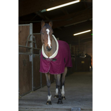 Camisa secante Equithème Teddy Camisa secante Equithème Teddy