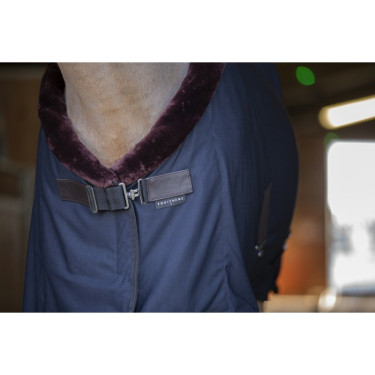 Camisa secante Equithème Teddy Preto / castanho