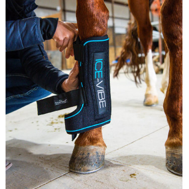 Guêtres Horseware Ice-Vibe Guêtres Horseware Ice-Vibe