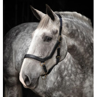 Caveção Rambo Micklem Horseware Preto