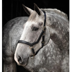Caveção Rambo Micklem Horseware Caveção Rambo Micklem Horseware