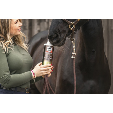 Alimento complementar Leovet Elixir Brônquios xarope Alimento complementar Leovet Elixir Brônquios xarope