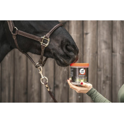 Alimento complementar Leovet Hamba Vet Alimento complementar Leovet Hamba Vet