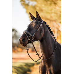 Bridão anatômico Horze Lockhart Preto