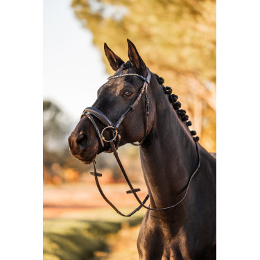 Bridão anatômico Horze Lockhart Preto