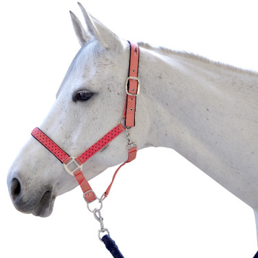 Set licol et longe Varna Flags & Cup Bleu marine