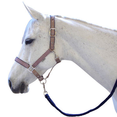 Set licol et longe Varna Flags & Cup Bleu marine