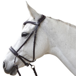 Bridon Canter sem embocadura Evolution Bridon Canter sem embocadura Evolution