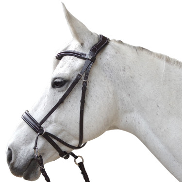 Bridon Canter sem embocadura Evolution Bridon Canter sem embocadura Evolution
