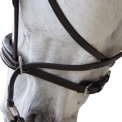Bridon Canter sem embocadura Evolution Bridon Canter sem embocadura Evolution