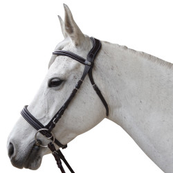 Bridon Canter sem embocadura Evolution Bridon Canter sem embocadura Evolution