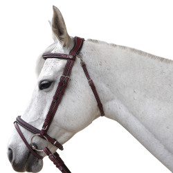 Bridon Flags & Cup Aachen Noir