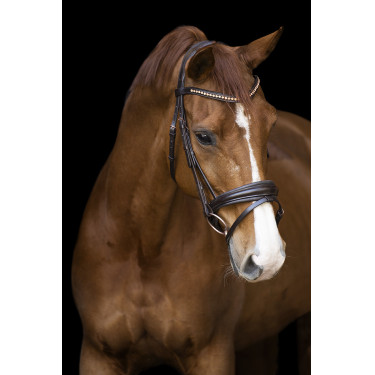 Bridão Impérial Riding Fria Castanho