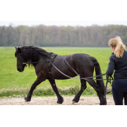 Rendas longas Imperial Riding Free Ride Rendas longas Imperial Riding Free Ride
