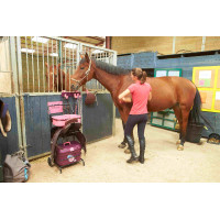 Carrinho Rolante Gm e Baú Box Pro Xl La Gée Granada Bord&amp;ocirc;