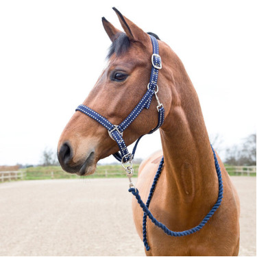 Cabresto e guia Cooper Horze Supreme Azul-marinho