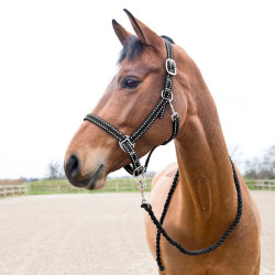 Cabresto e guia Cooper Horze Supreme Cabresto e guia Cooper Horze Supreme