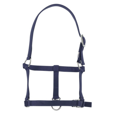 Cabresto potro Riding World Cabresto potro Riding World