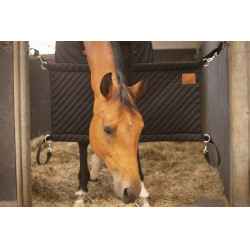 Porta de box Paddock Sports Preto