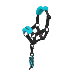 Cabeçada de passeio para brinquedo Mini Pônei LeMieux Azul Cabeçada de passeio para brinquedo Mini Pônei LeMieux Azul