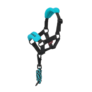 Cabeçada de passeio para brinquedo Mini Pônei LeMieux Azul Cabeçada de passeio para brinquedo Mini Pônei LeMieux Azul