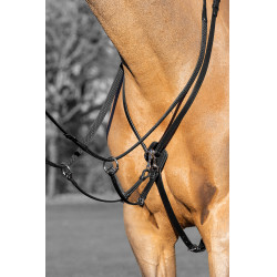 Martingal com argolas Kudos LeMieux Martingal com argolas Kudos LeMieux
