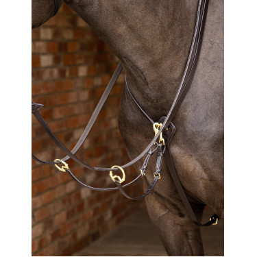Martingal com argolas Kudos LeMieux Castanho / latão Martingal com argolas Kudos LeMieux Castanho / latão