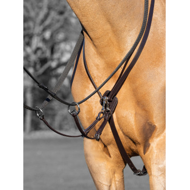 Martingal com argolas Kudos LeMieux Martingal com argolas Kudos LeMieux