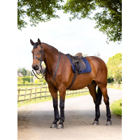 Tapete de trabalho LeMieux Dressage Azul-marinho