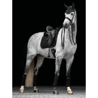 Tapete LeMieux Crystal Suede Dressage Preto