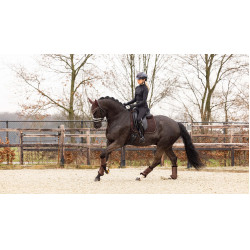 Tapete LeMieux Crystal Suede Dressage Tapete LeMieux Crystal Suede Dressage