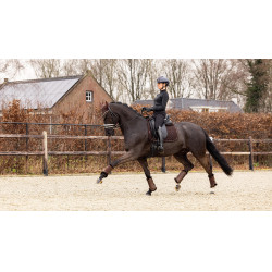 Tapete LeMieux Crystal Suede Dressage Tapete LeMieux Crystal Suede Dressage