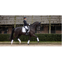 Tapete LeMieux Crystal Suede Dressage Branco Tapete LeMieux Crystal Suede Dressage Branco