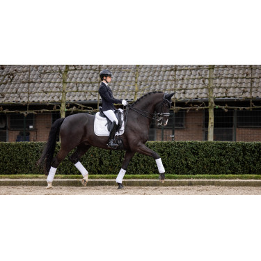 Tapete LeMieux Crystal Suede Dressage Tapete LeMieux Crystal Suede Dressage
