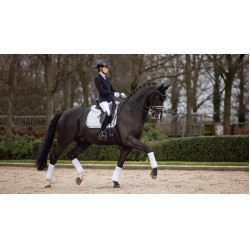 Tapete LeMieux Crystal Suede Dressage Branco Tapete LeMieux Crystal Suede Dressage Branco
