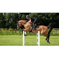 Tapete LeMieux Puissance Camurça Close Contact Quadrado Castanho Tapete LeMieux Puissance Camurça Close Contact Quadrado Castanho