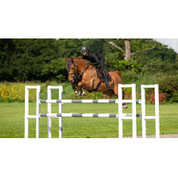 Tapete LeMieux Puissance Camurça Close Contact Quadrado Castanho Tapete LeMieux Puissance Camurça Close Contact Quadrado Castanho