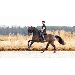 Tapete LeMieux Puissance Camurça Dressage Square Castanho Tapete LeMieux Puissance Camurça Dressage Square Castanho